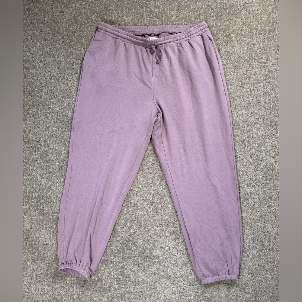 Madewell MWL Superbrushed Easygoing Jogger Sweatpants Size 1X Mauve Purple